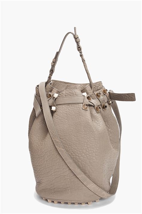 alexander wang bucket bag|alexander wang bag two pockets.